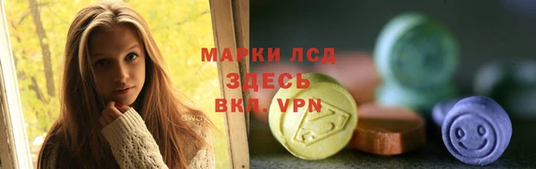 spice Алзамай