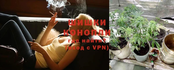 spice Алзамай