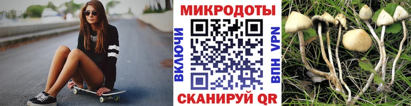 купить наркотик  Алексеевка  Псилоцибиновые грибы Cubensis 